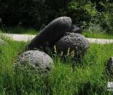 “會長大“的石頭 組圖