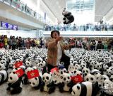 1600只紙制熊貓亮相香港國際機(jī)場 組圖