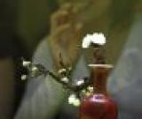 臺(tái)北故宮推出“瓶盆風(fēng)華——明清花器特展” 組圖