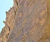 內(nèi)蒙古阿爾巴斯山發(fā)現(xiàn)珍稀植物巖畫(圖)