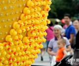 殘缺的“鴨梨” 組圖