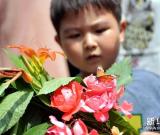 蘭州新區(qū)舉辦蝴蝶嘉年華 圖