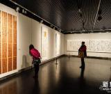 “真境界-葉華洲書法展”在南京開展 圖