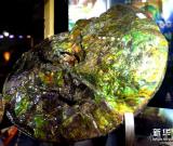 加拿大鸚鵡螺斑彩寶石現(xiàn)身北京 組圖