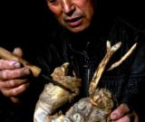 村里的“根雕藝術(shù)家” 圖