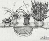 精美插畫作品欣賞