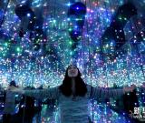 美輪美奐“星星屋”