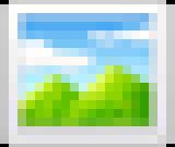 藝術(shù)評論：朱新建的筆墨救贖與形式對生活的介入