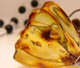 琥珀：波羅的海的黃金