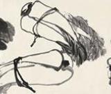 北京盈時2014春拍將開幕 李苦禪等名家作品參拍