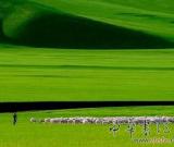 草原文化是中華文明三大源頭之一