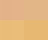 紀(jì)念林風(fēng)眠誕辰110周年活動啟動