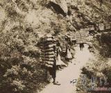 茶馬古道的變遷與保護(hù)