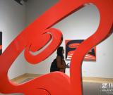 美洲印第安原住民藝術(shù)家作品在紐約展出 圖