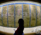 西湖博物館推出歷代杭州名仕書畫展 圖