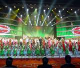 第三屆中國(guó)（湘潭）齊白石國(guó)際文化藝術(shù)節(jié)隆重舉行