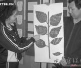 “千人千作硬筆書法作品展”百名老師裱佳作