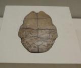 國(guó)博精選館藏120余件文物展陳古代書(shū)法魅力