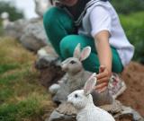 學(xué)?！皠?dòng)植物園”亮相遼寧朝陽 組圖