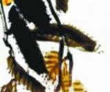 收藏入門：齊白石《枇杷》真?zhèn)舞b別