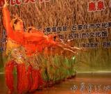 石家莊市第三屆農(nóng)民藝術(shù)節(jié)開幕