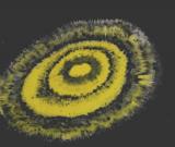 丹青天成--李春光當(dāng)代水墨展