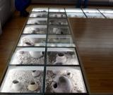 甘肅臨夏馬家窯彩陶博物館開館 組圖