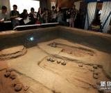 展示“上海之源”——崧澤遺址博物館將對外開放