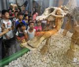 博物館里過(guò)假期 組圖