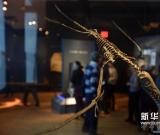 美國(guó)自然歷史博物館將舉辦大型翼龍展