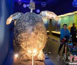 “海洋精靈”游進內(nèi)蒙古