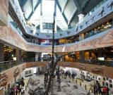 博物館中度假期 組圖