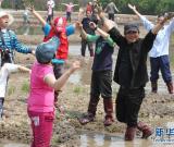“蚯蚓藝術(shù)家”稻田共繪《巨龍舞夢(mèng)》