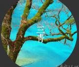 中國傳統(tǒng)12繪色譜