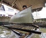 湖南張家界：探訪古法造紙術(shù) 組圖