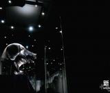 “四大獸首”亮相濟(jì)南圓明園特展 圖