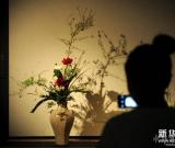 《在此——中國生活藝術(shù)之國家大劇院展》開幕 組圖