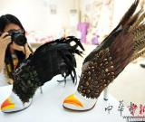 湖南大學(xué)生畢業(yè)設(shè)計(jì)作品展繽紛惹眼