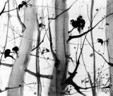 回眸吳冠中 之所以為吳冠中的