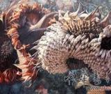 生命未央──觀高元和《向日葵》