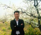 丹青名家姚三石