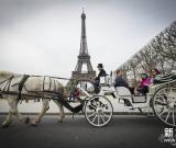 2014年法國(guó)歷史文化遺產(chǎn)游客增長(zhǎng)