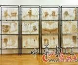 當(dāng)代藝術(shù)收藏實(shí)力派玩勝偶像派