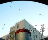 法國表演藝術(shù)家用蜂蜜吸引觀眾