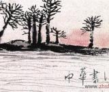 湖湘藝術(shù) 源遠(yuǎn)流長(zhǎng)(組圖)