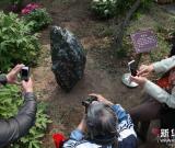 “名園名花展”在京開幕 組圖