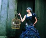 肇--張肇達藝術(shù)大展