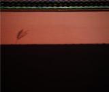 長(zhǎng)沙14歲男孩拿下美國(guó)國(guó)家地理攝影大獎(jiǎng) 圖