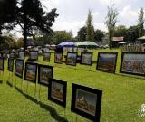 南非的公園繪畫展 圖
