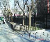 齊白石墓周邊環(huán)境整治一新